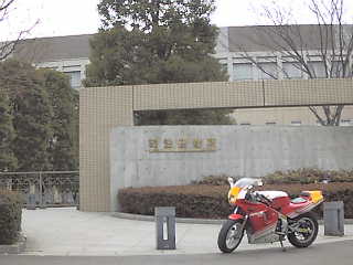 �i�@���C������