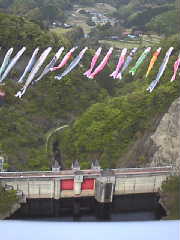 泳