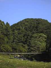 谷