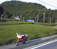 園