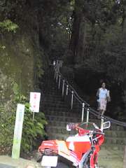 段