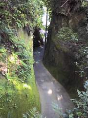 道