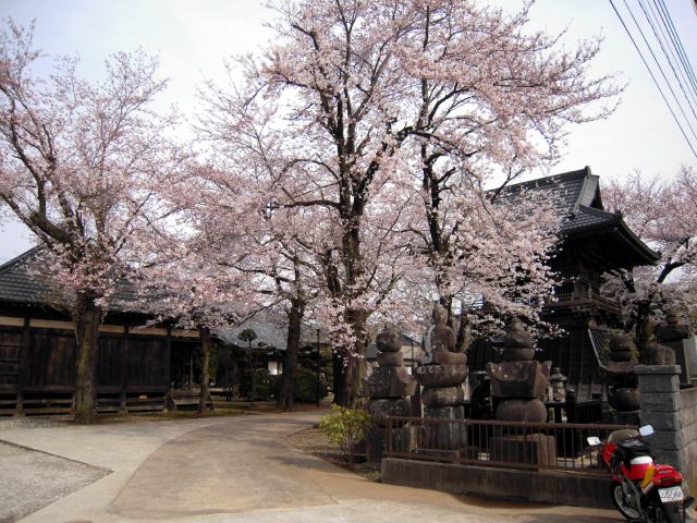 月