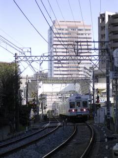 夕
