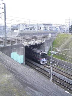 夕