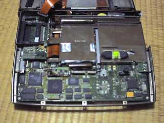 �����Ⴒ����