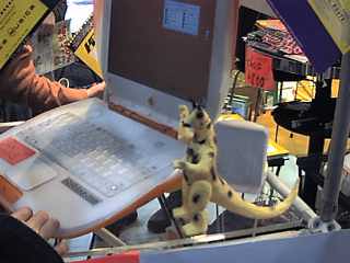 iBook