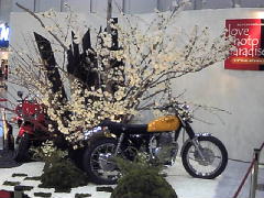 芸