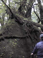 岩