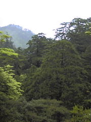勢