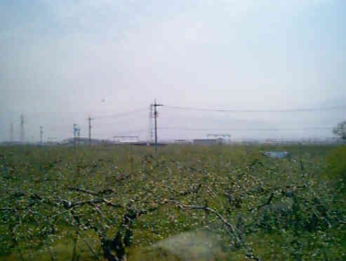 ����V���������n