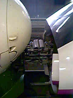 �h�b�L���O����