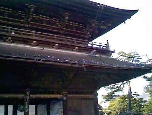 ���ŋx�ޔ�