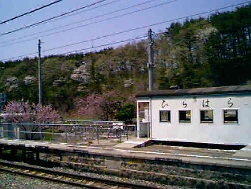 �Ђ�͂�w�͍���...