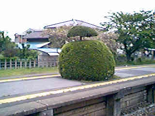 �^�w�̃z�[����