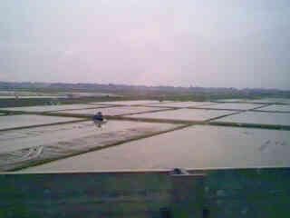 �ق��ق����̎ԑ�