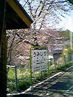 �C�K�w�͍����J