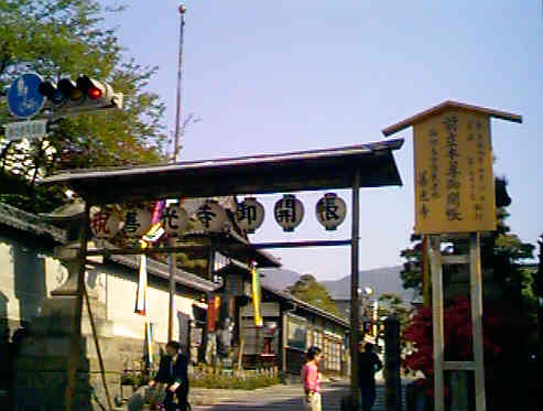 �P���������